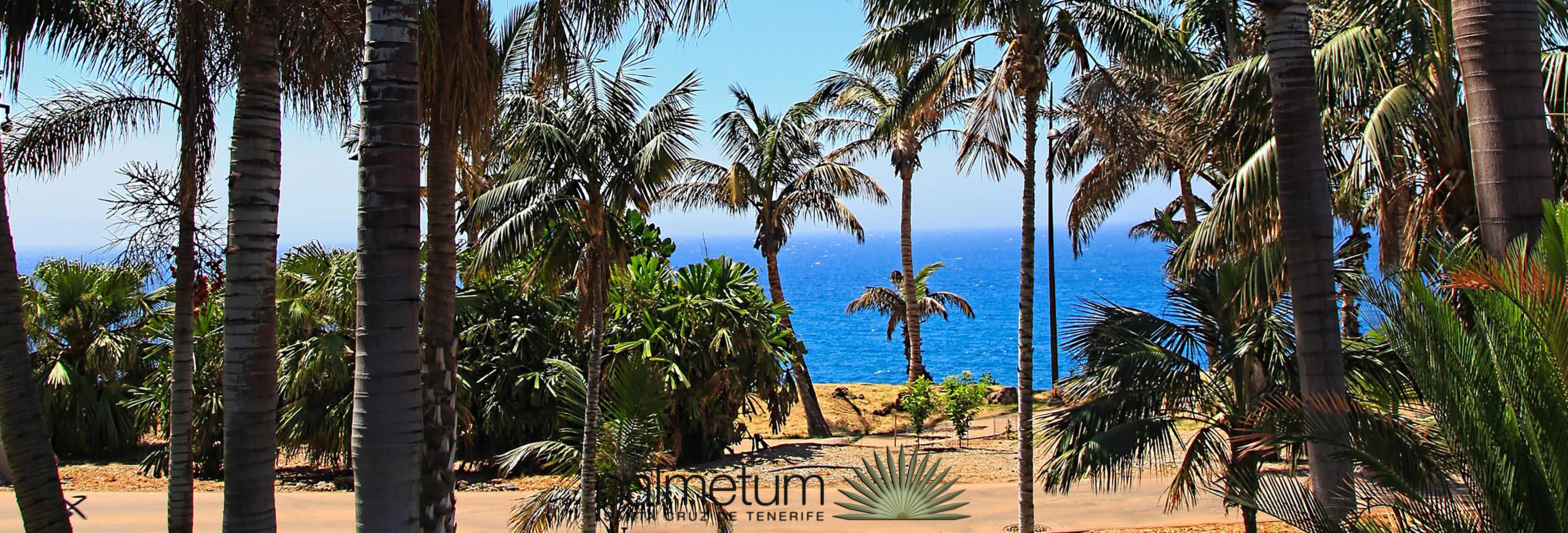 Hotel Adonis Plaza Santa Cruz de Tenerife Exterior foto